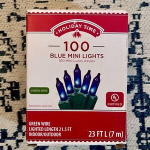 Holiday Time 100 Blue Lights with Green Wire
